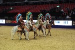 Quadrille - 00140